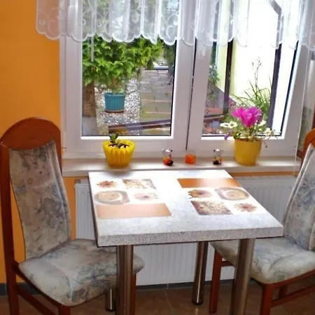 Apartment Gemuetliche Mit Terrasse