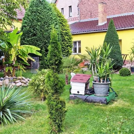 Gemuetliche Mit Terrasse Apartment *