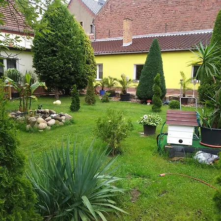 Gemuetliche Mit Terrasse Apartment Rietz Neuendorf
